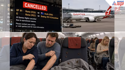 bed bugs in airplane