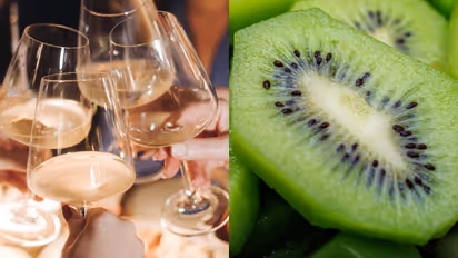 India- new zealand fta