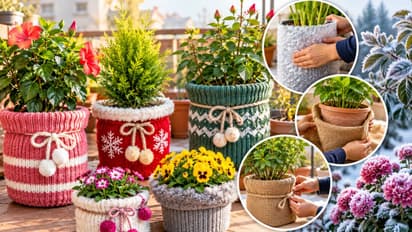 diy winter jacket for plants
