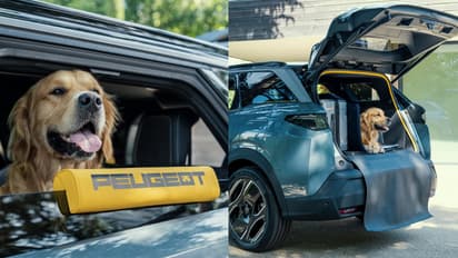 Peugeot E 5008 Dog Edition