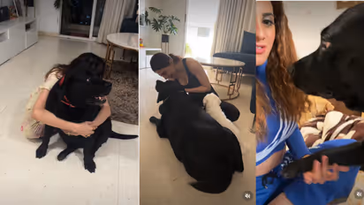Nikki Tamboli Pays Emotional Tribute to Beloved Dog