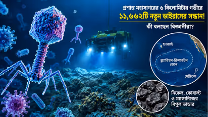 Scientists have discovered 11742 viruses in the Pacific Ocean approximately 6000 meters deep