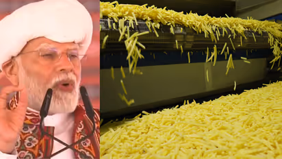 Modi Shares Mouth Watering French Fries Photo