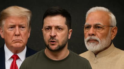 Collage of Donald Trump, Zelenskyy, Narendra Modi 