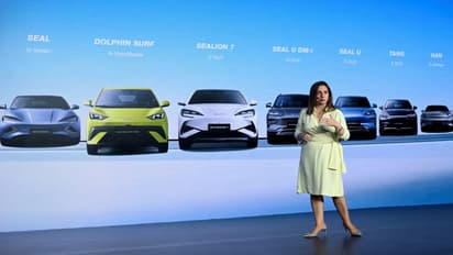 BYD Dolphin Surf EV Launched