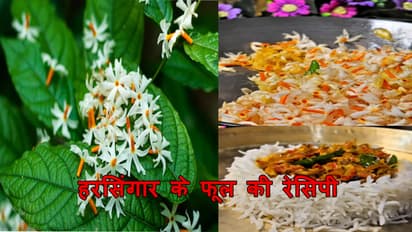 हरसिंगार