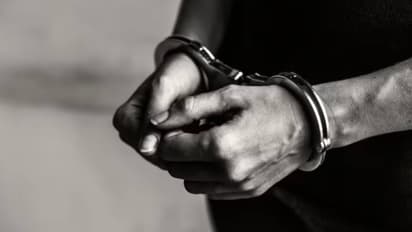 credit card fraud arrest