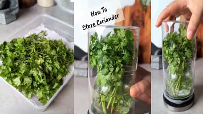 Coriander Storage 