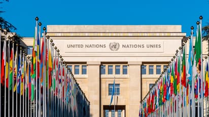 United Nations Career 2025
