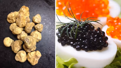 world s most expensive foods