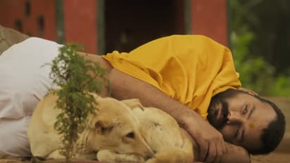 Hanuman Ansh Day 24 Collection