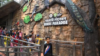 Mumbai Zoo 