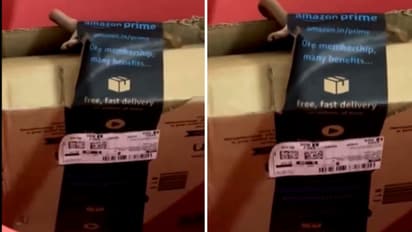 Bengaluru Couple Finds Venomous Snake Inside Amazon Package