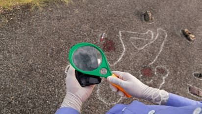 Brother kills brother