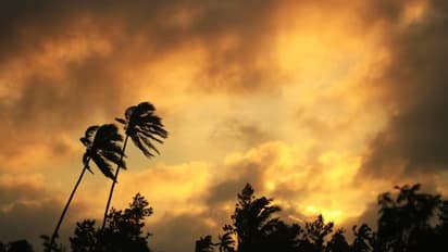 alert of heavy storm and rain in 40 districts