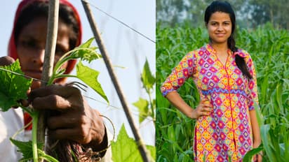 Rajasthan govt Agriculture Scholarship for Girls