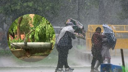 A mobile tower in Safdarjung Enclave fell last night as the city received gusty winds and heavy rainfall