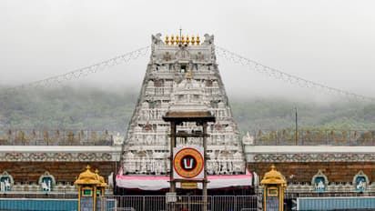 tirupati mandir laddu news