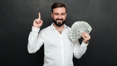 indogulf cropsciences ipo