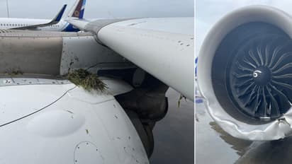 Rain-hit landing: Air India flight skids off runway in Mumbai