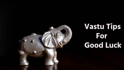 vastu tips for silver elefhant