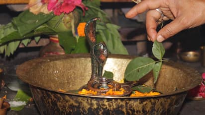 nag panchami 2025 05