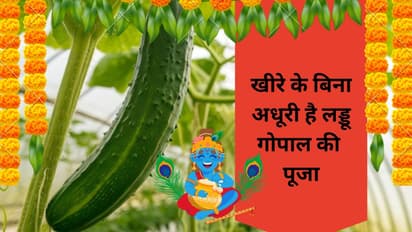 Shri krishna janmashtami