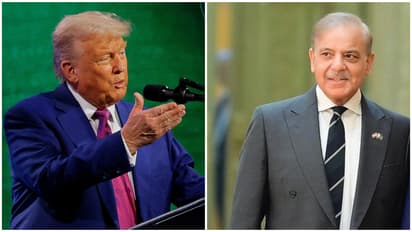Donald Trump Shehbaz Sharif