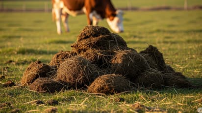 yogi government cow dung bioplastic initiative up