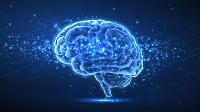 Lab-grown human brain