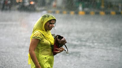 heavy rain in rajasthan