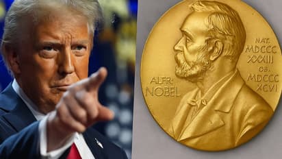 Donald Trump, Nobel