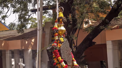 Shanichari Amavasya 2025