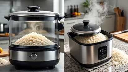 rice cooker