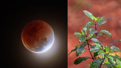 chandra grahan 2025 manytay