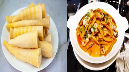  world bamboo day 5 unique bamboo recipes