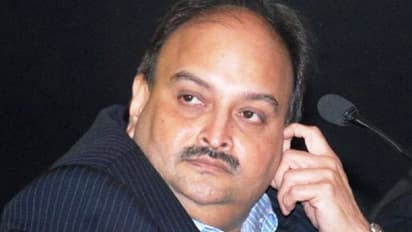 Mehul choksi extradition