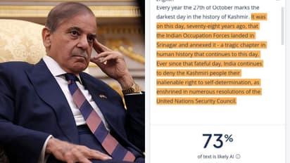 Pakistan PM Shehbaz Sharif's Kashmir post sparks online backlash