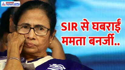 Mamta Banerjee on SIR