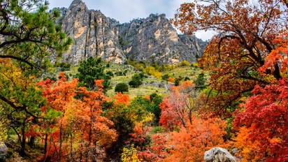 US foreign tourists surcharge national parks fees 