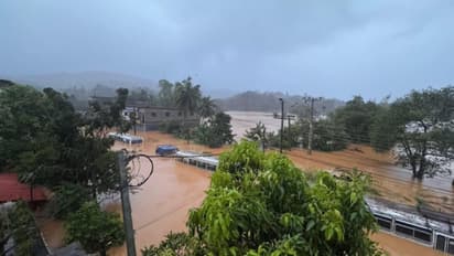  Cyclone dithwah tamilnadu rain deaths animals houses damage