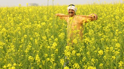 PM Fasal Bima Yojana 2025