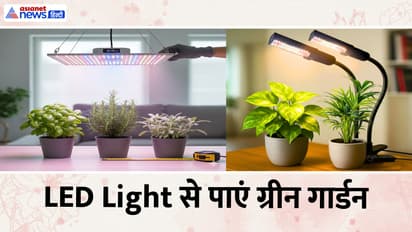LED Grow Light 