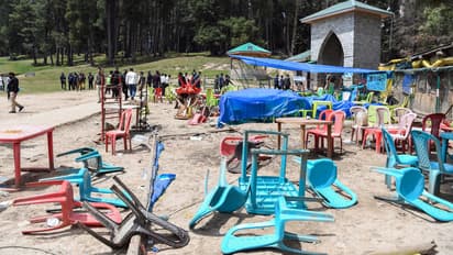 Sajid Saifullah Jatt