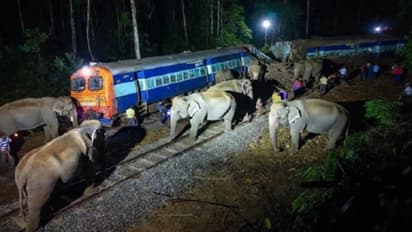 assam rajdhani express elephant accident many elephants killed news