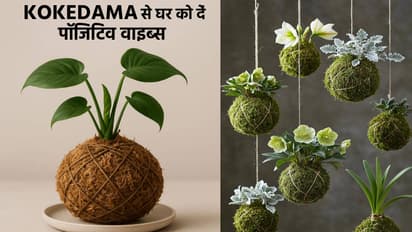 KOKEDAMA