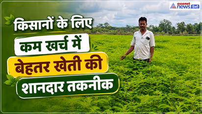Chhattisgarh dhaincha hari khad kheti benefits