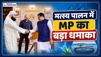 mp fisheries investment