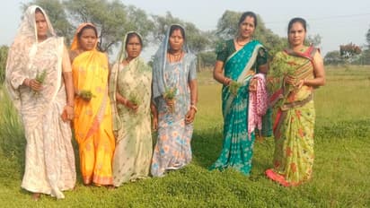 dhamtari Medicinal farming model