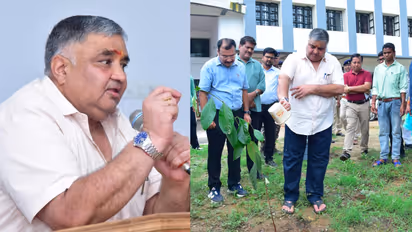 rajesh agrawal sarguja plantation